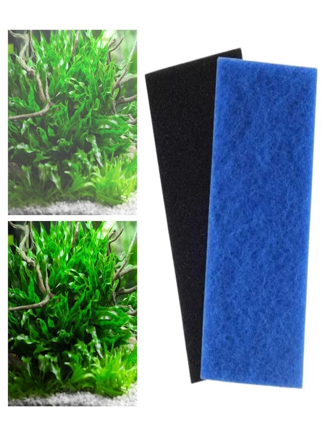 VAYINATO® 2 Pcs Blue+Black (30 * 11 * 2cm) Aquarium Biological Filter Sponge | Provide Both Mechanical & Biological Filtration | Durable & Reusable | Ideal for Fresh & Salt Water - Image 1